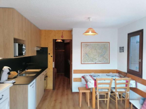 Le Grand-Bornand : Studio cabine, au pied des pistes, 5 couchages - FR-1-241-15